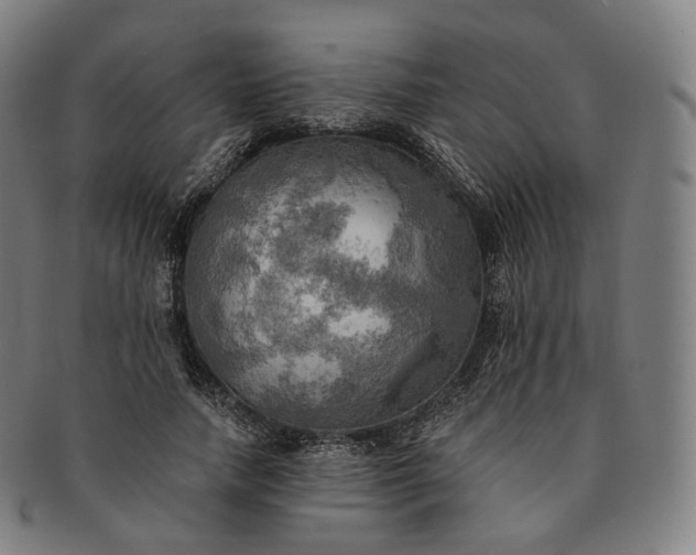 X0000091290738200708241028