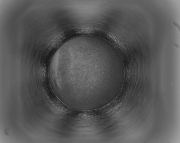 X0000091290739200708241028