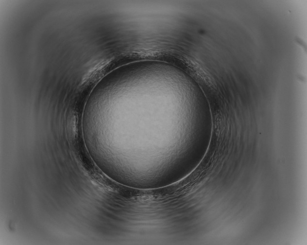 X0000091290740200708241028