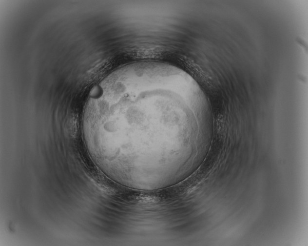 X0000091290741200708241029