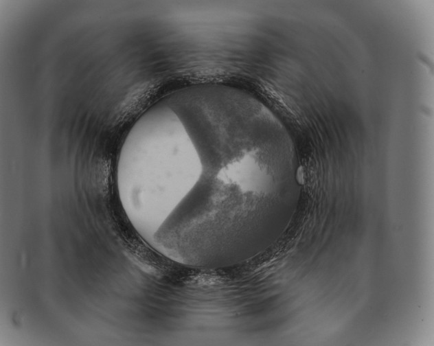 X0000091290742200708241029