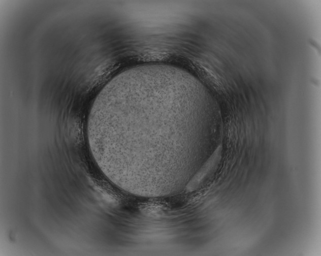 X0000091290743200708241029