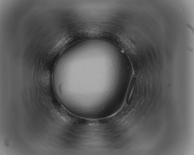 X0000091290744200708241029