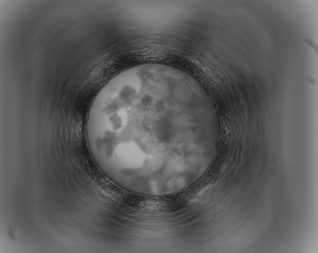 X0000091290745200708241029