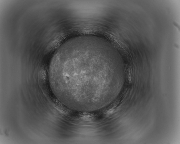 X0000091290746200708241029