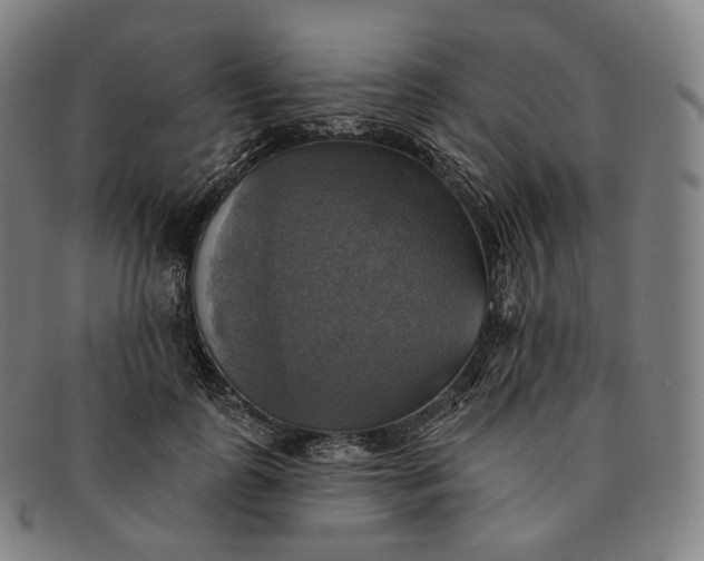 X0000091290747200708241029