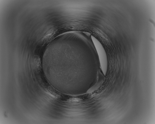 X0000091290748200708241029