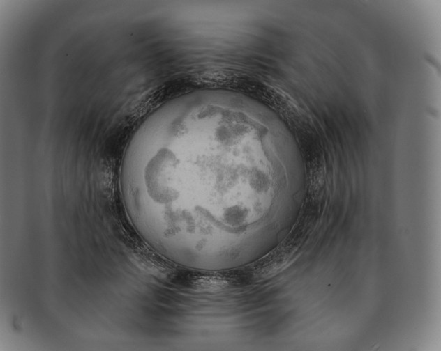 X0000091290749200708241029