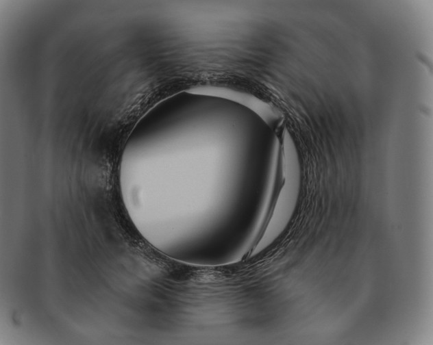 X0000091290750200708241029