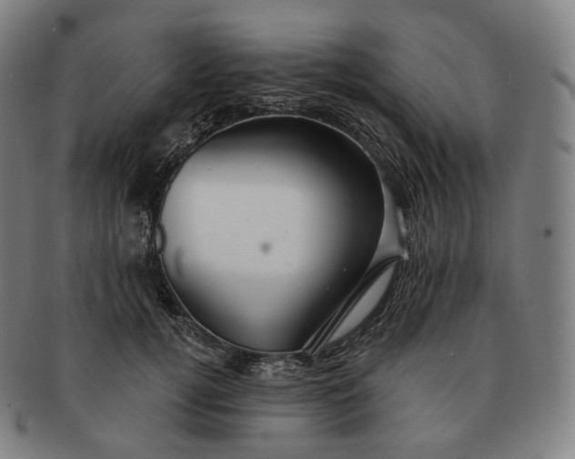 X0000091290752200708241029