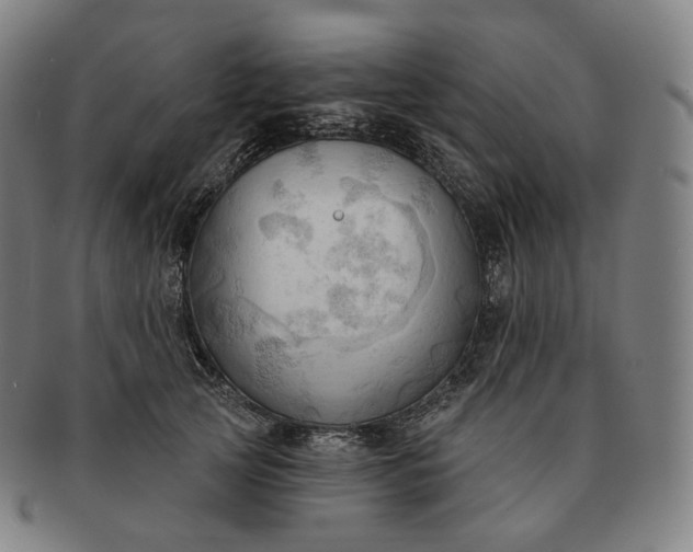 X0000091290753200708241029