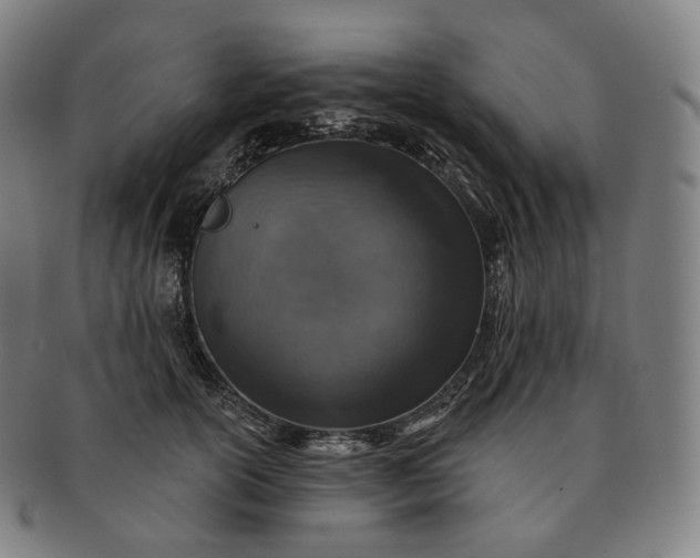 X0000091290754200708241029