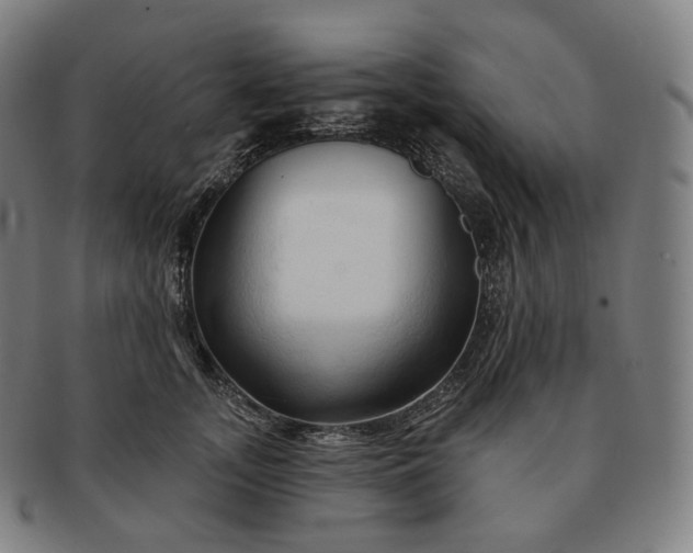 X0000091290755200708241029