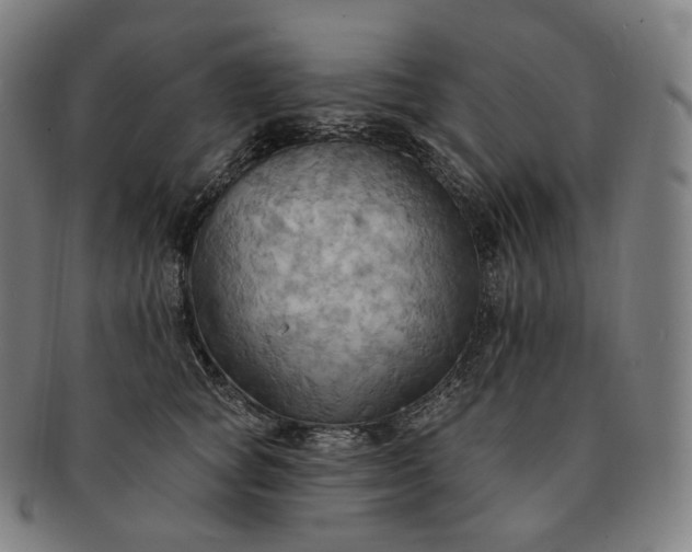 X0000091290757200708241029