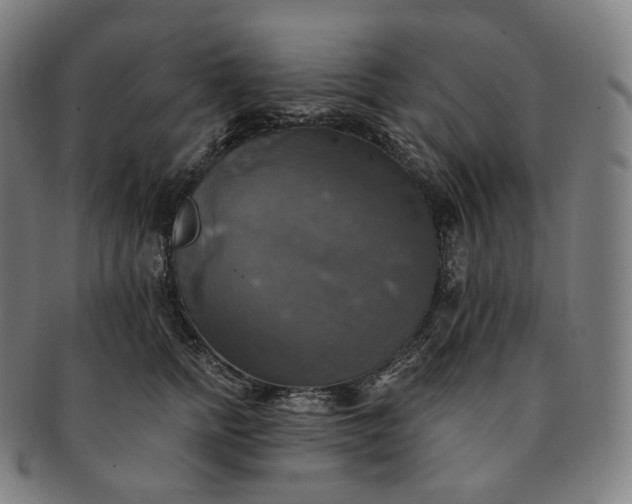 X0000091290758200708241029