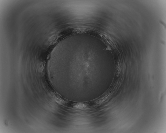 X0000091290759200708241029