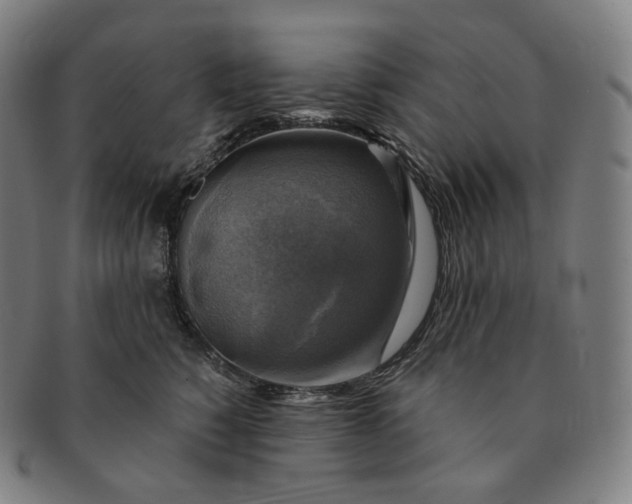 X0000091290760200708241029