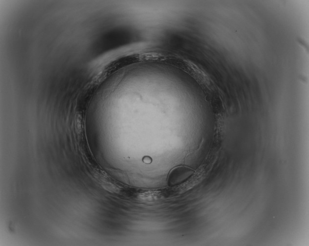 X0000091290761200708241029