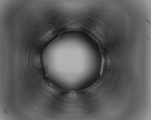 X0000091290764200708241029