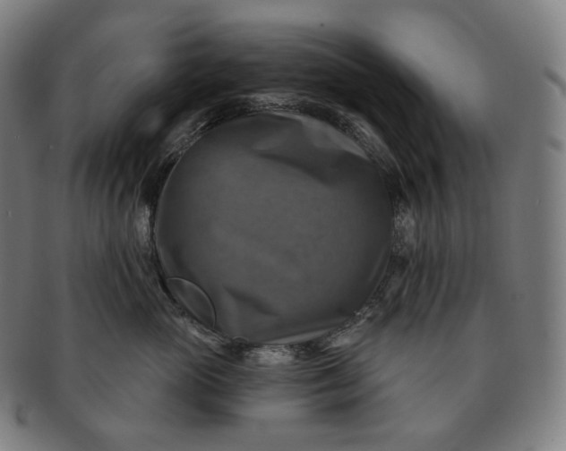 X0000091290765200708241029