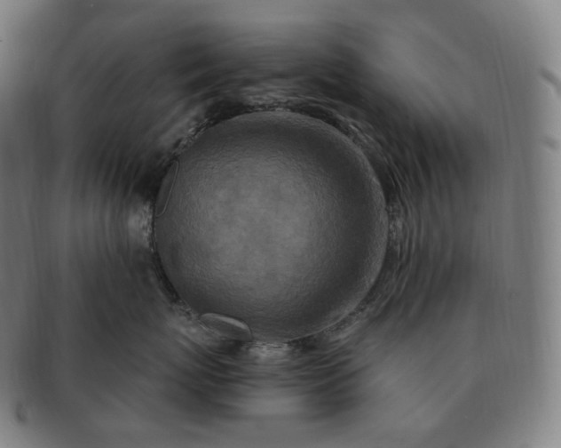 X0000091290767200708241029