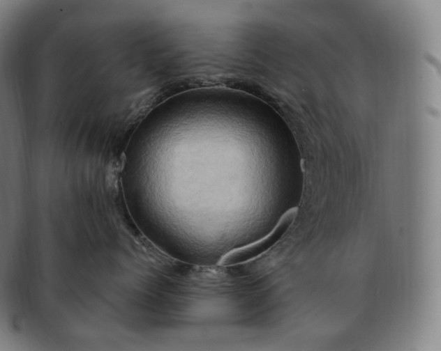 X0000091290768200708241029