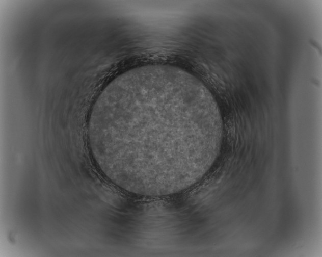 X0000091290769200708241028