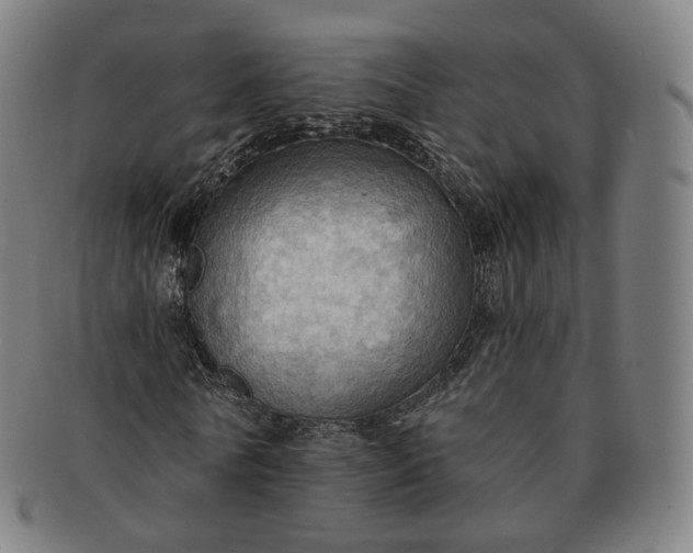 X0000091290770200708241028