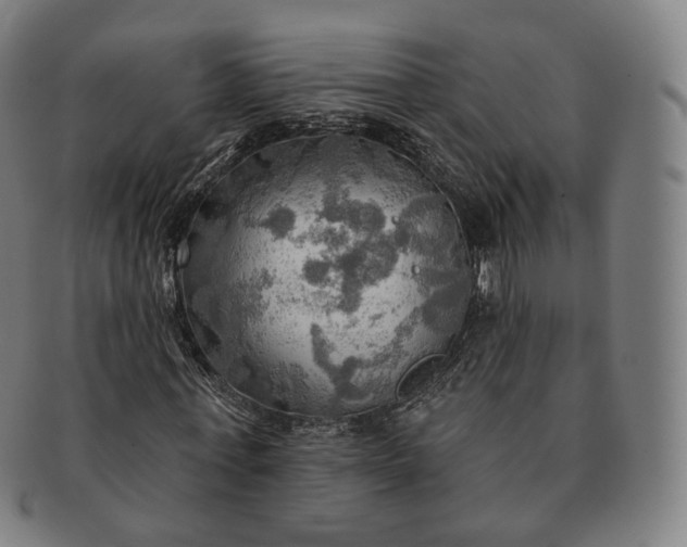 X0000091290771200708241028