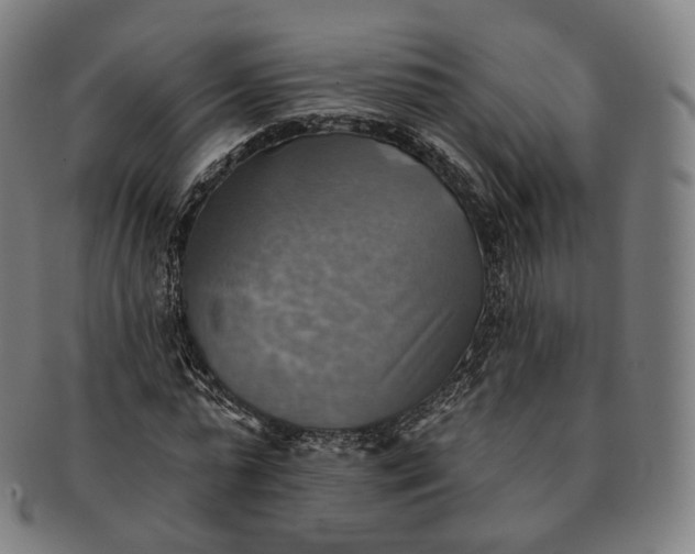 X0000091290775200708241028