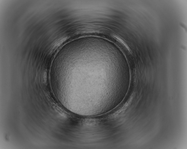 X0000091290777200708241028