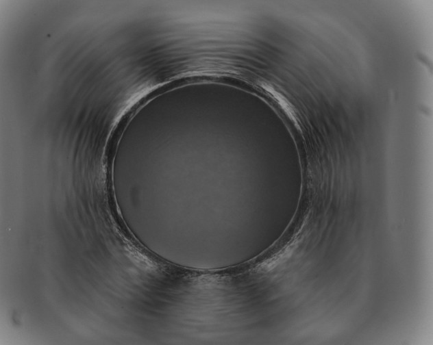 X0000091290779200708241028