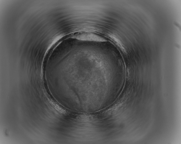 X0000091290780200708241028