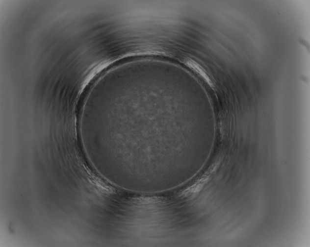 X0000091290781200708241028