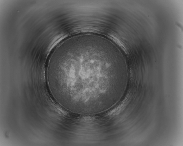 X0000091290782200708241028