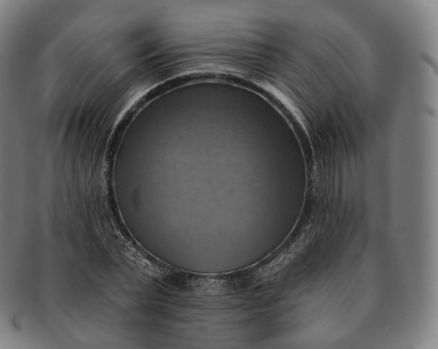 X0000091290783200708241028