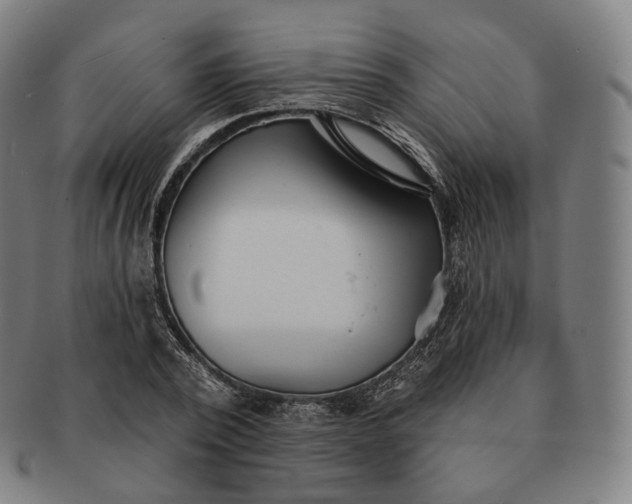 X0000091290784200708241028