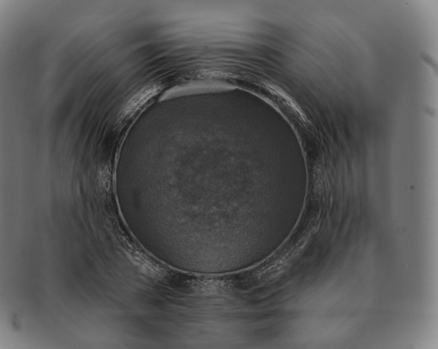 X0000091290785200708241028