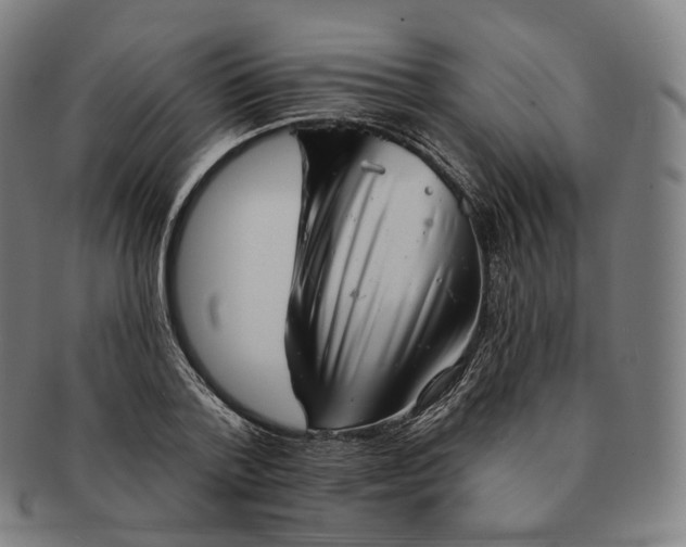 X0000091290788200708241028