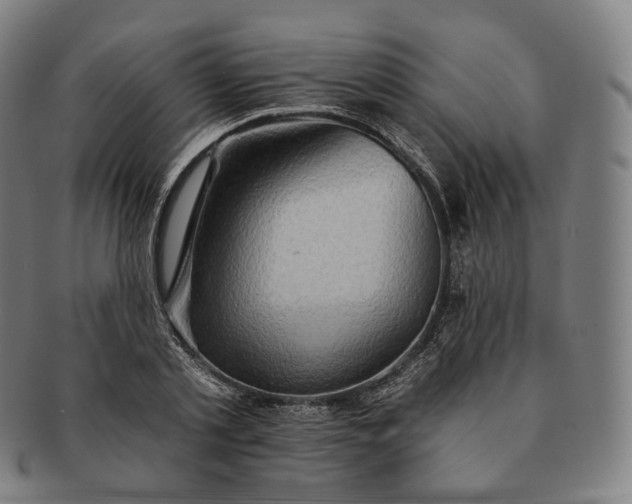 X0000091290789200708241028