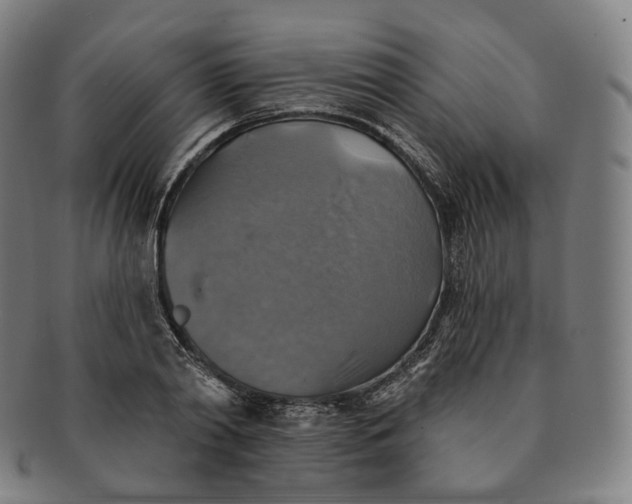 X0000091290790200708241028