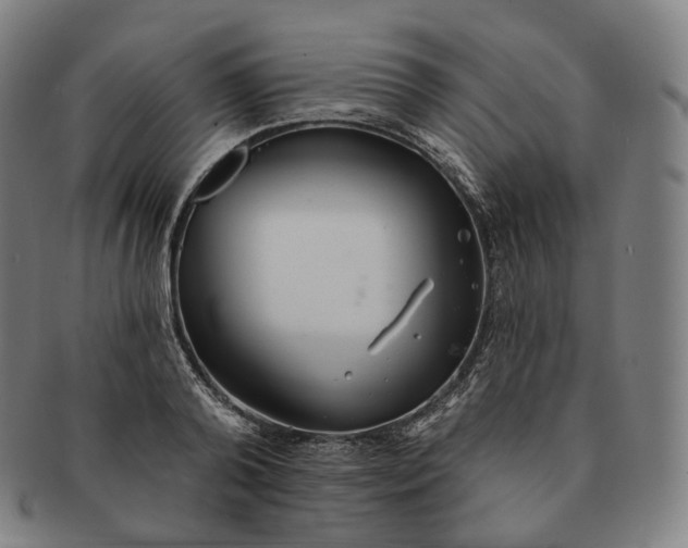 X0000091290792200708241028