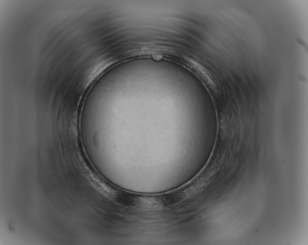 X0000091290794200708241028