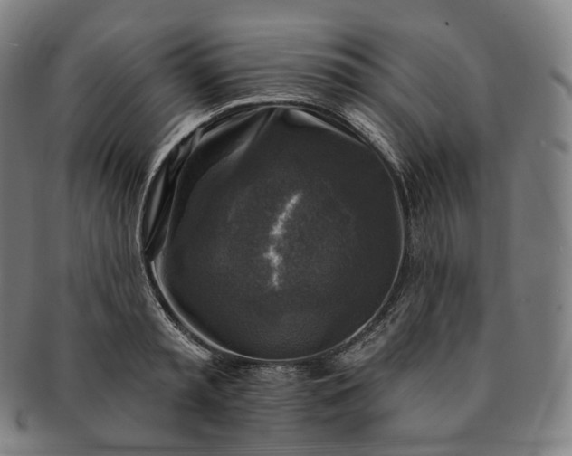 X0000091290797200708241028