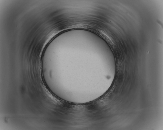 X0000091290800200708241028