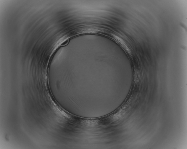 X0000091290802200708241028