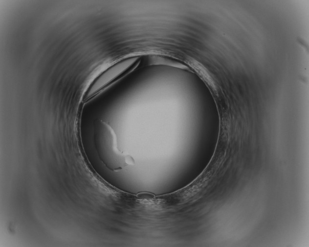 X0000091290805200708241028