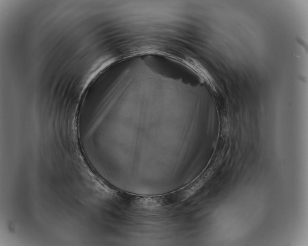 X0000091290806200708241028