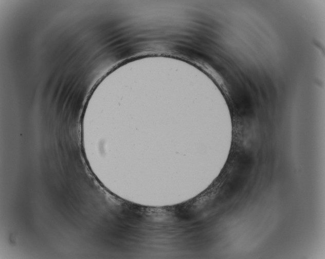 X0000091290807200708241028