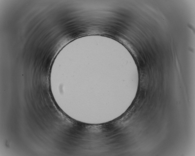 X0000091290810200708241027